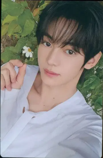 TWS 최초 한정 B반 HANJIN 처음 뵙겠습니다