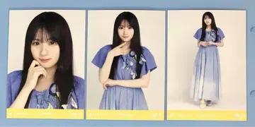 노기자카46 브로마이드 교감신경 우위 카와사키 벚꽃 컴프 1