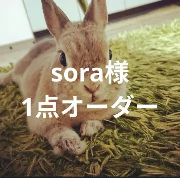 sora님 1점 오더 (동봉 할인 -100 포함)