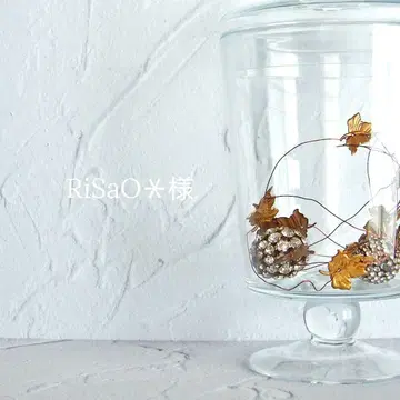 RiSaO* 님
