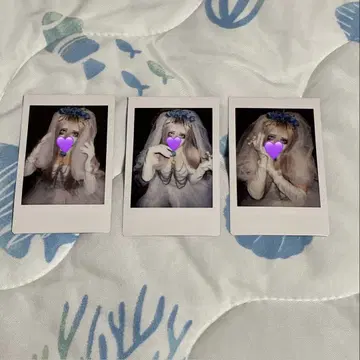 머큐로 보라색 달 렌게 폴라로이드