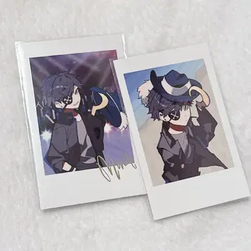 crazy raccoon CR CRfes 폴라로이드 mondo 2