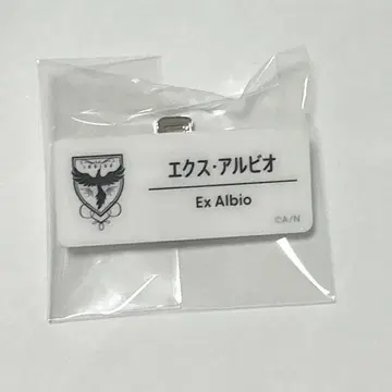엑스 알비오 니지페스 네임 배지