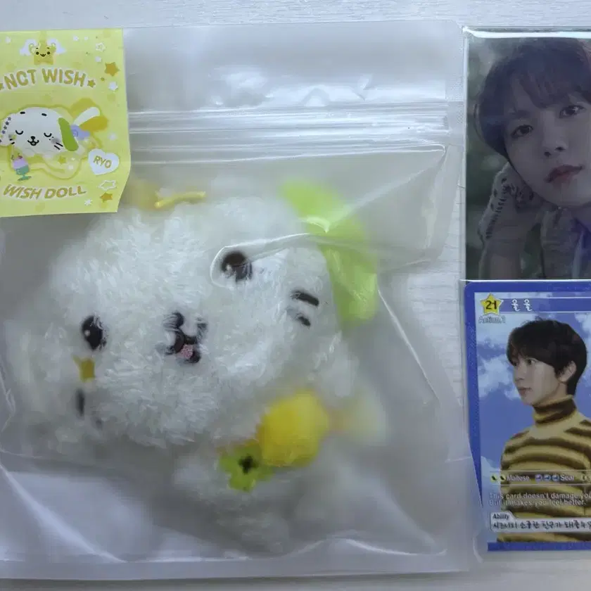 NCT WISH リョウ MD グッズ WISHDOLL リョンリョン Amazon.co.jp: NCT WISH WISH DOLL ぬいぐるみ MD リョウ