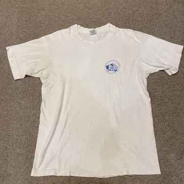 올드 티셔츠 미국제 90s 프룻 오브 더 룸