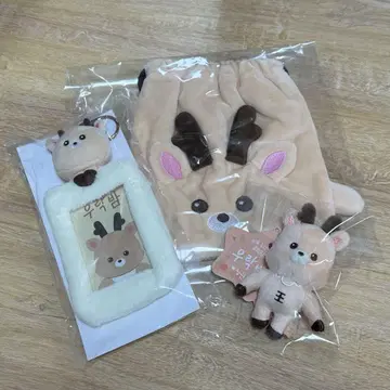 RIIZE 성찬 복조리 트레이딩 카드 케이스 키링
