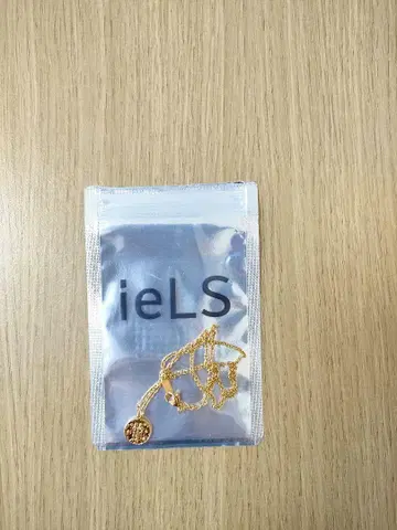 ieLS 코인 목걸이