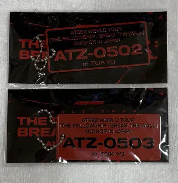ATEEZ WORLD TOUR 넘버 플레이 5월 2, 3일 2매 세트