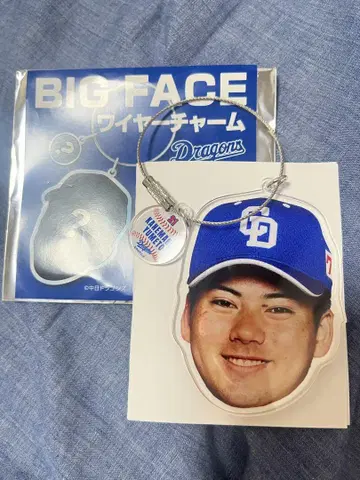 드래곤즈 주니치 BIG FACE 와이어 참 카네마루 카네마루 유메토 랜덤