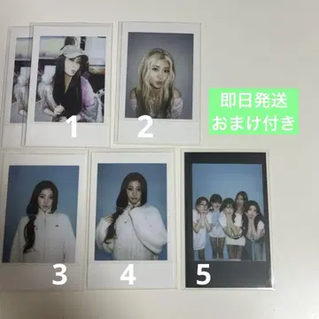 르세라 윤진 폴라로이드 세트 3