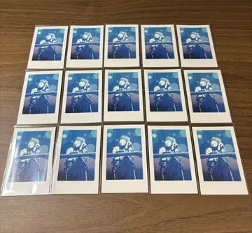 이레귤러 다이스 Hotoke 파파라치 실사 폴라로이드