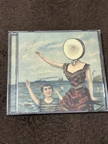In The Aeroplane Over The Sea