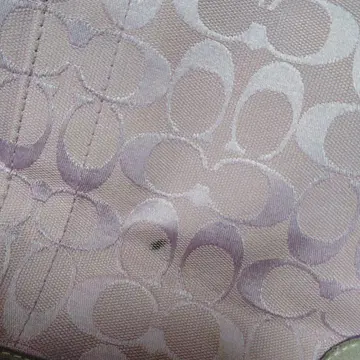 얼룩 확인