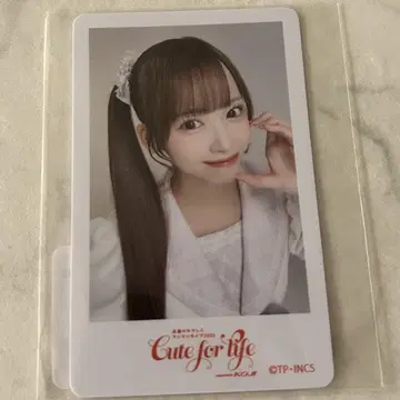 타카네노 나데시코 히나타 하나 온라인 복권 10연 혜택 2