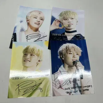 SEVENTEEN 세븐틴 디노 넷 프린트
