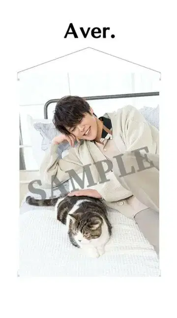 미야노 마모루 조이마모 복권 2023 B상 A ver. 태피스트리