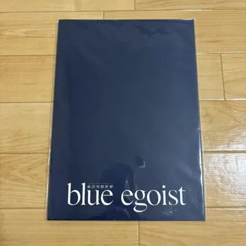 blueegoist 블루에고이스트 팜플렛