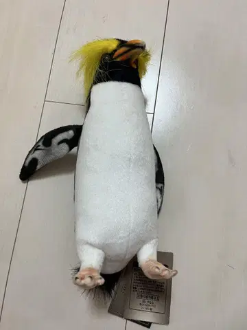 HANSA 한사 이와토비펭귄