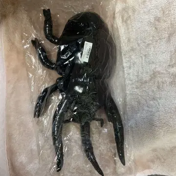 블랙 곤충형 아이템