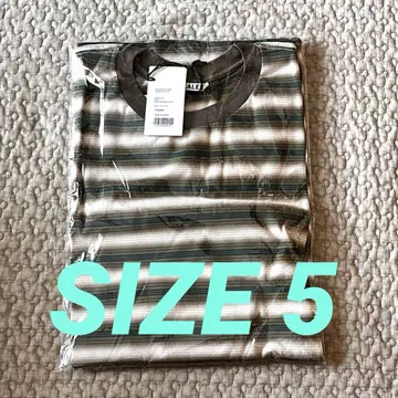AURALEE GRADIENT STRIPE JERSEY L/S TEE 5