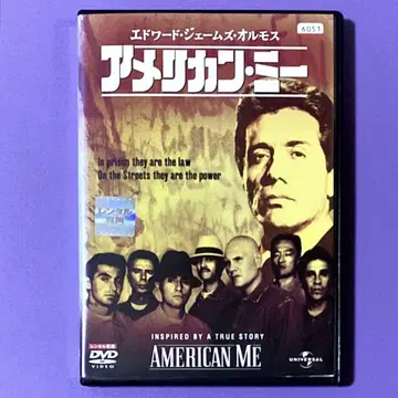 DVD 아메리칸 미
