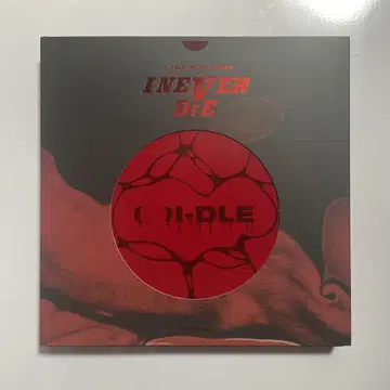 (G)I-DLE 앨범 i never die risky ver.