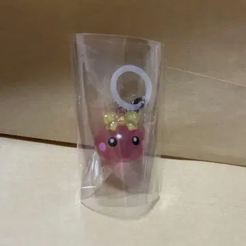 홋페쨩 메지루시 액세서리