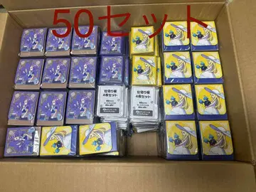 릴리에 아세로라 카드 슬리브 카드 케이스 세트 포켓몬 센터 한정판 용품