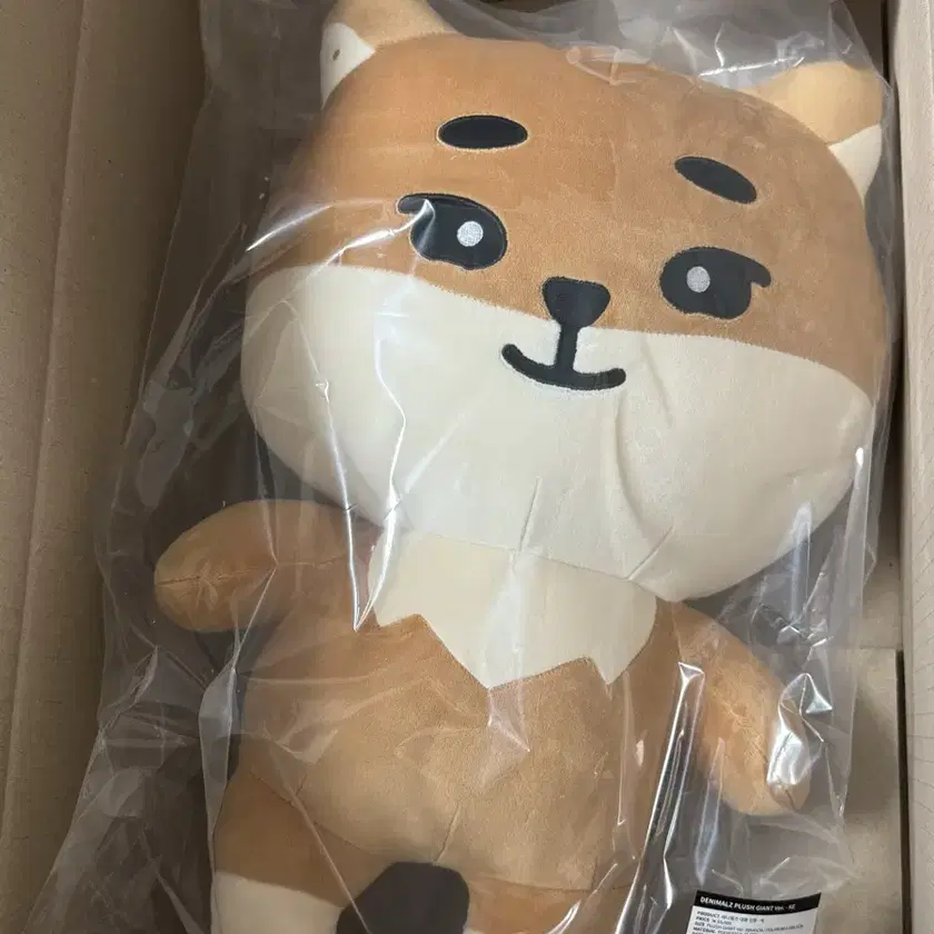 DAY6 DENIMALZ PLUSH KE Youngk ヨンケイ 2024