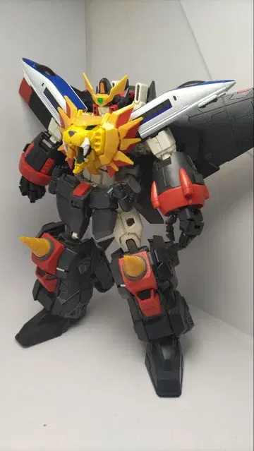 [부분 페인팅] RG 가오가이거 [완성품]