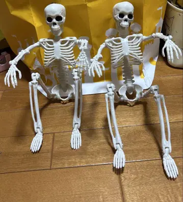 각각 해골 피규어 프라이즈