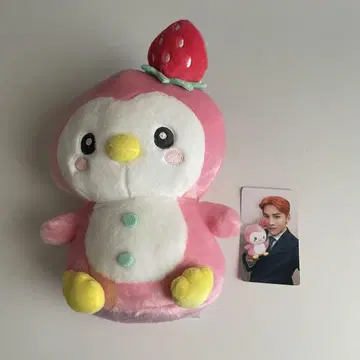 JOCHUM 포포 봉제 인형