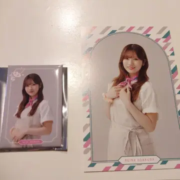 사쿠라자카46 사쿠라자카 카페 오다쿠라 레이나 랜덤 캔 마그넷 엽서