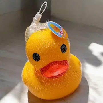 요*시 둥실둥실 오리 짱