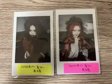 Royz  코우다 폴라로이드