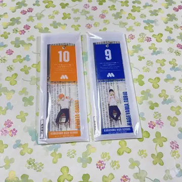 하이큐 히나타 쇼요 카게야마 토비오 마찌후다풍 참 아크릴 키링 모스