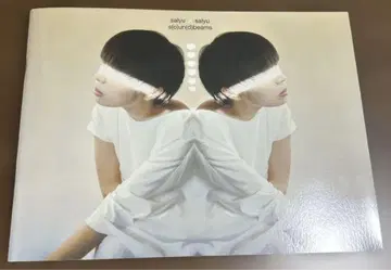 salyu x salyu s(o)un(d)beams 투어 팜플렛