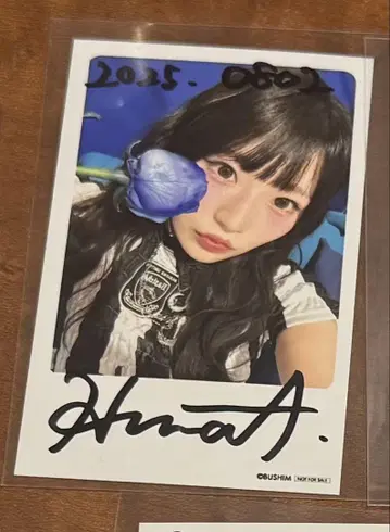 BLUE TRIP #16 폴라로이드풍 포토 카드 아오키 하루나 친필 사인