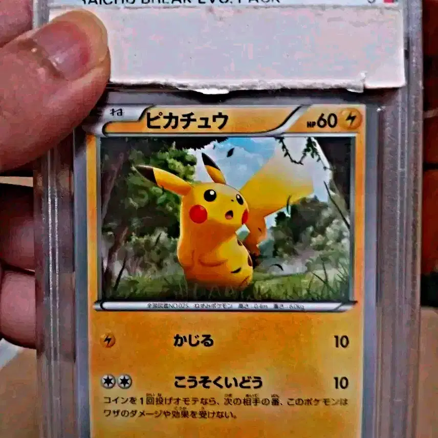 포켓몬 카드 피카츄 2015 EVO. 피카츄 일본판 PSA 9등급 사진 1