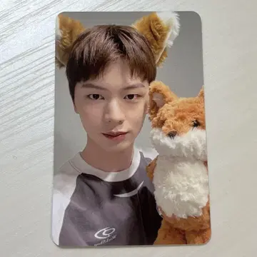 BTOB 선재 앨범 트레이딩 카드 애플뮤직 여우 여우 여우