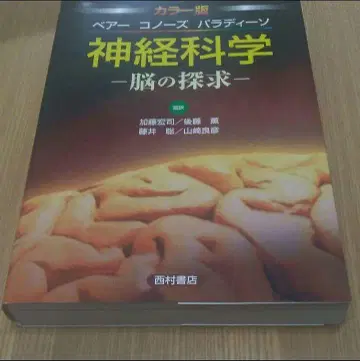 컬러판 베어 코노즈 파라디소 신경과학: 뇌의 탐구