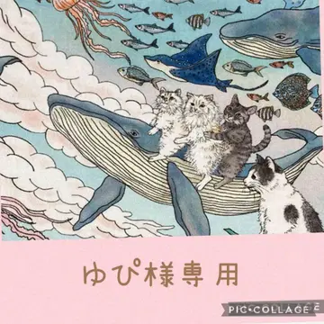 동화 속 나라의 고양이와 친구들 오더