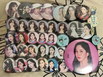 미나 이타백 캔뱃지