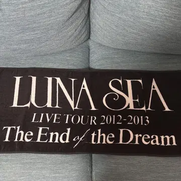 2 LUNA SEA 타월