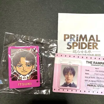후지와라 이츠키 세트 2