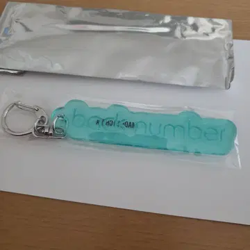 back number 랜덤 PVC 반사 키링