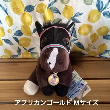 아이돌 호스 아프리칸 골드 봉제 인형 M 사이즈