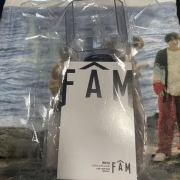 timelesz FAM LIVE TOUR 2025 응원봉