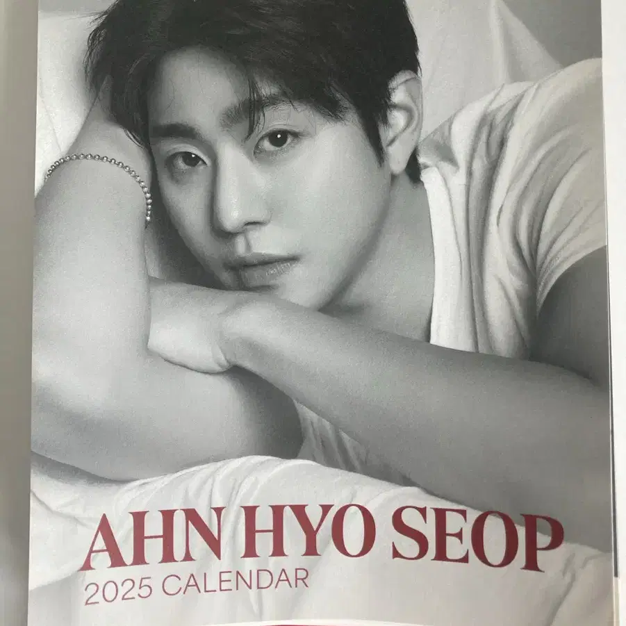 AHN HYO SEOP 2025 カレンダー AHN HYO SEOP 2025 CALENDAR - THE PRESENT COMPANY STORE