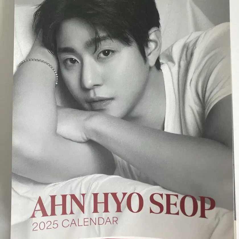 Ahn Hyoseop 2025 Calendar on Bunjang Global Site.